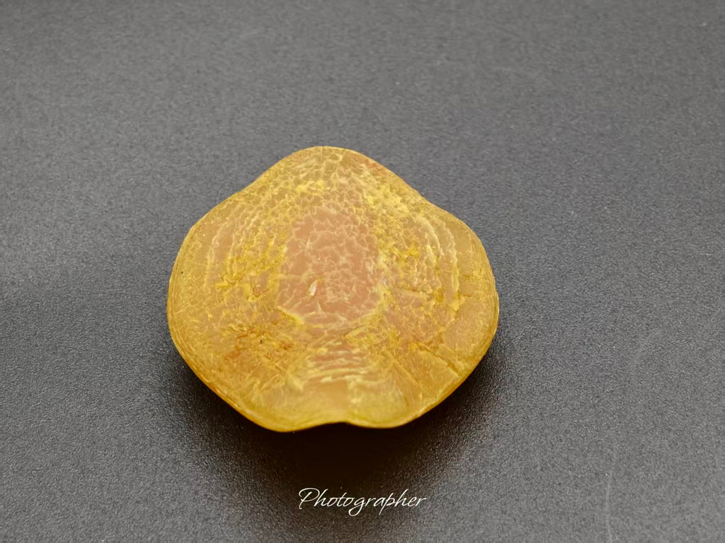 Zhejiang — Fish Pharyngeal Bone, Night Cry Stone