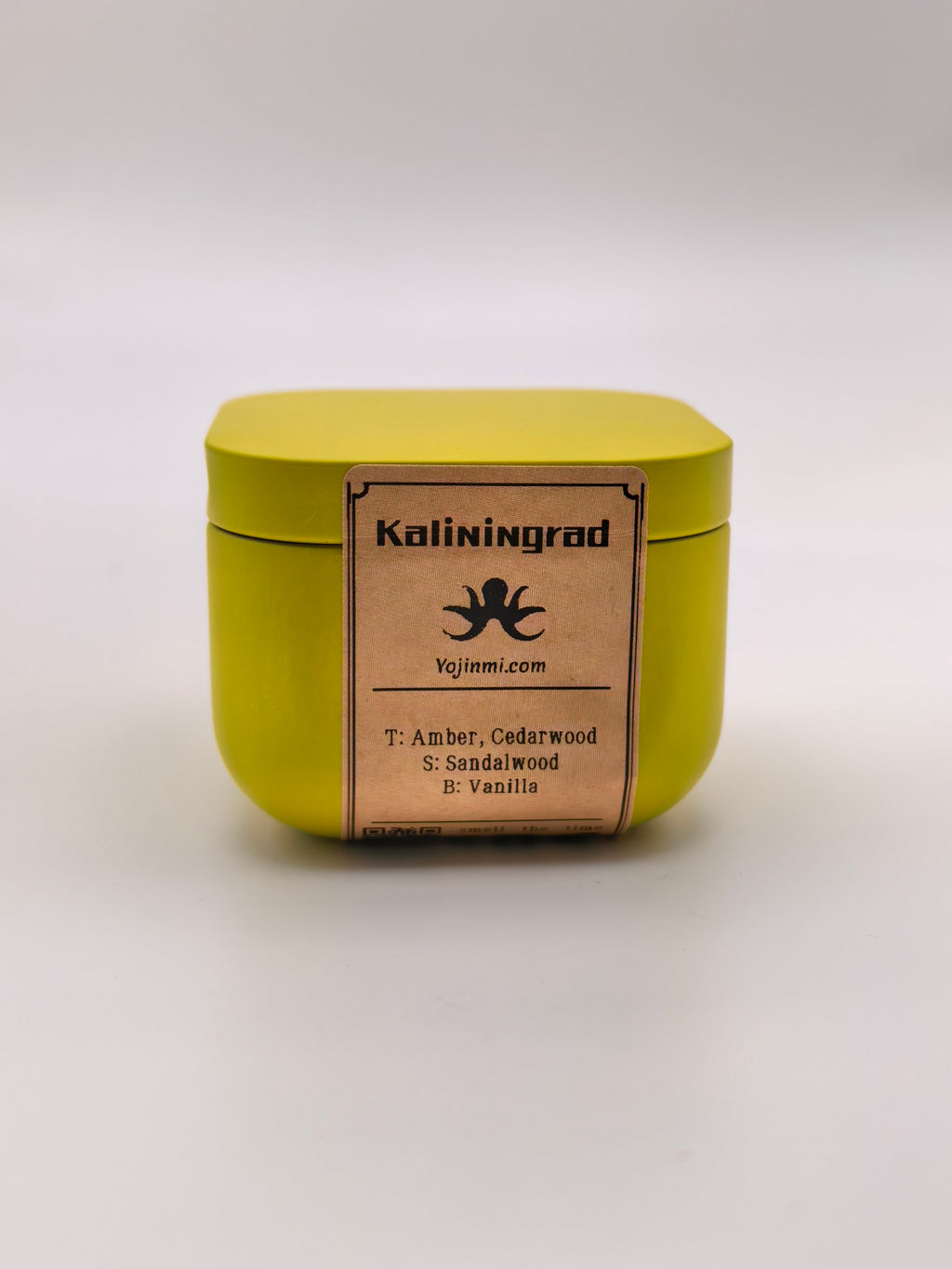 kaliningrad | Handcrafted Scented Candle with Amber & Frankincense Notes
