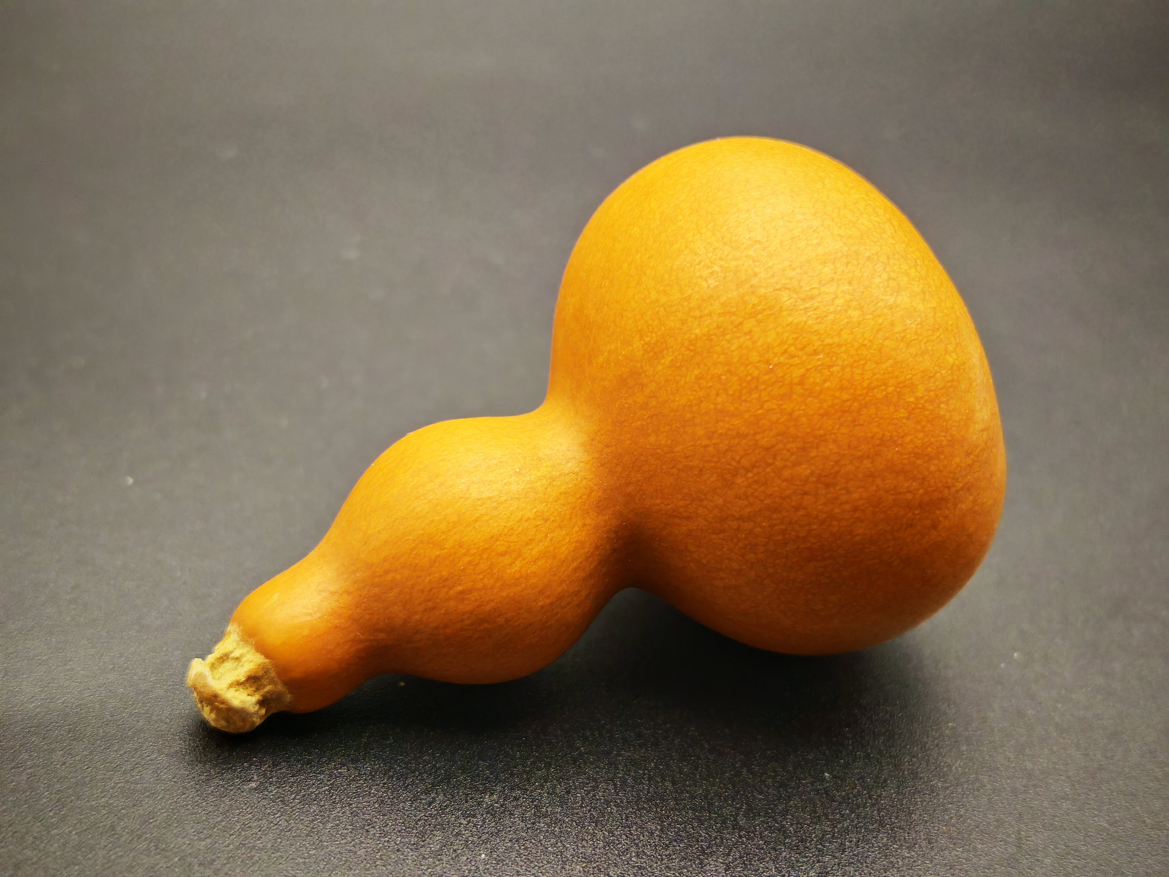 Marrakech Craft — Natural Gourd, Aged Patina