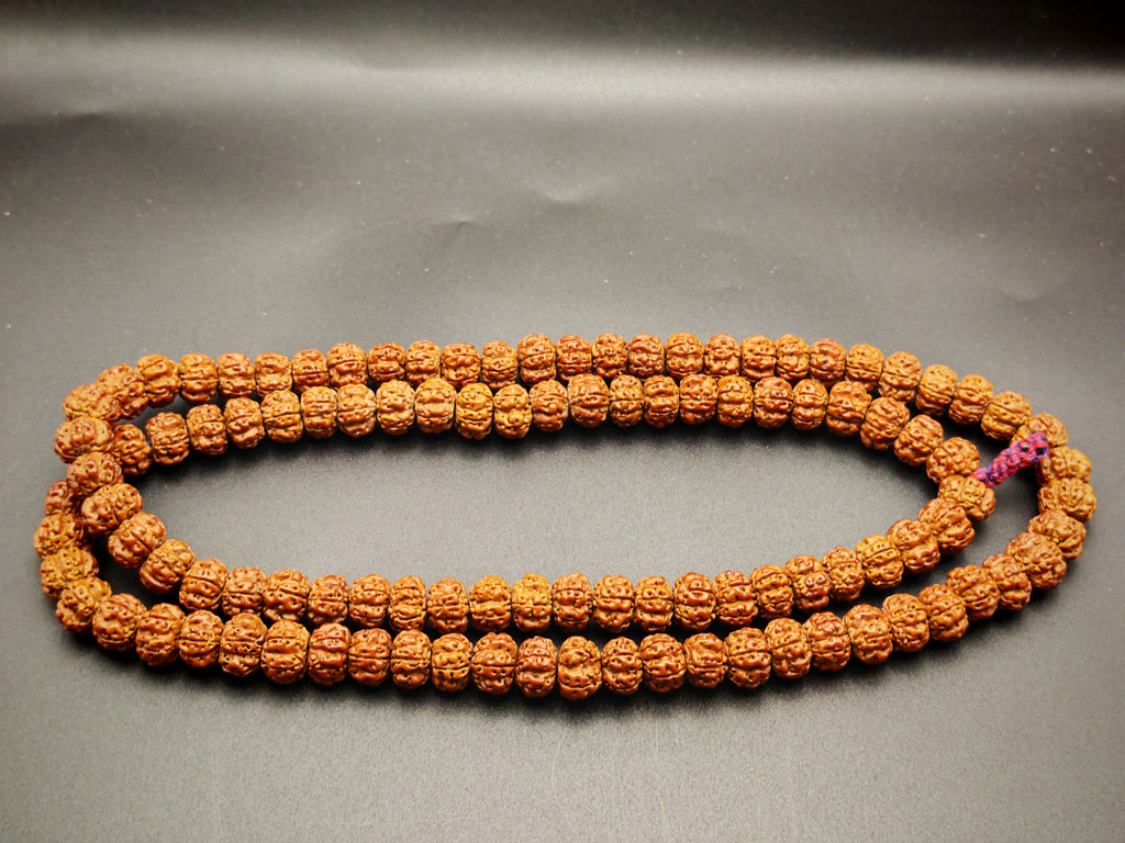 Nepal — Rudraksha Mala, 108 Beads, Pumpkin-Cut