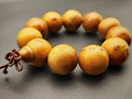Lebanon Cedar — Sichuan Arborvitae Bracelet, River Grain