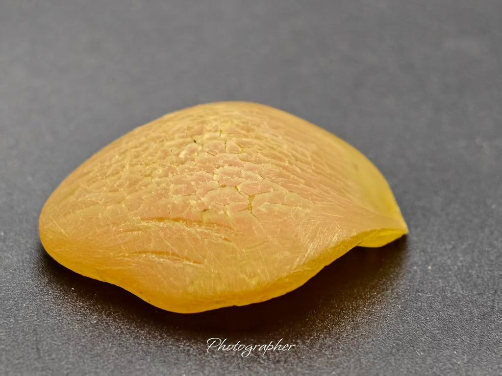 Zhejiang — Fish Pharyngeal Bone, Night Cry Stone