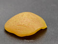 Zhejiang — Fish Pharyngeal Bone, Night Cry Stone