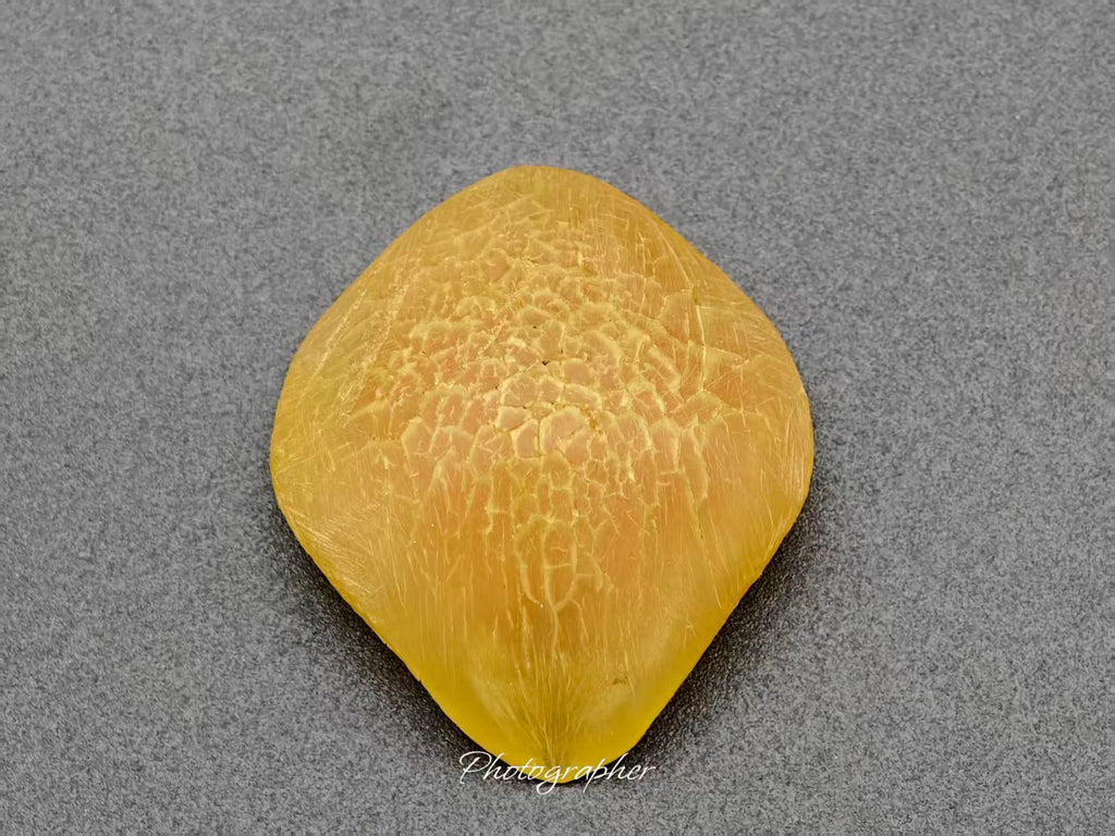 Zhejiang — Fish Pharyngeal Bone, Night Cry Stone